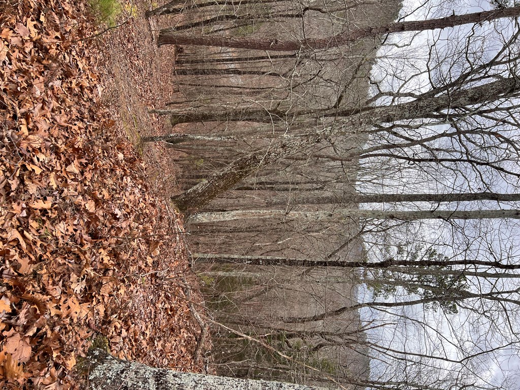 50000 Carters Lake Ranger, GA 30734 - Photo 31 of 37