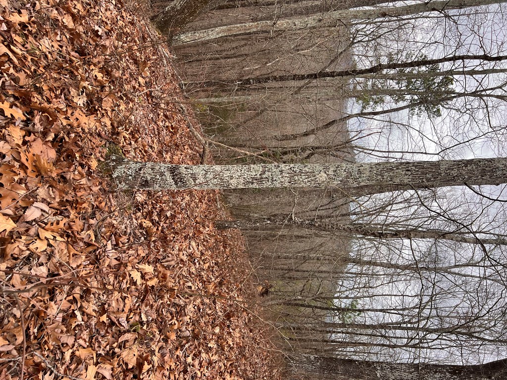 50000 Carters Lake Ranger, GA 30734 - Photo 32 of 37