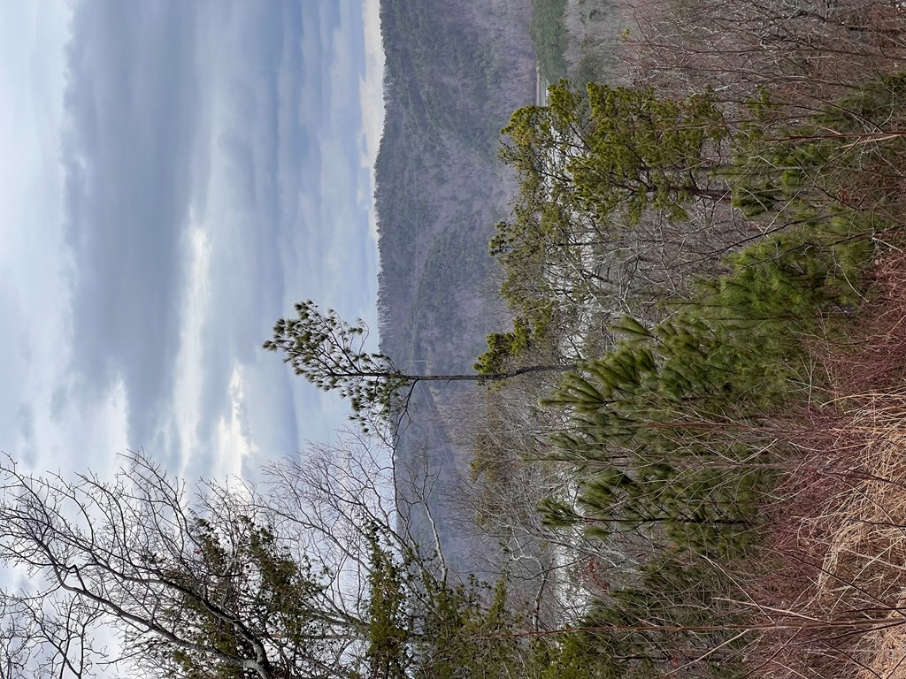 50000 Carters Lake Ranger, GA 30734 - Photo 35 of 37