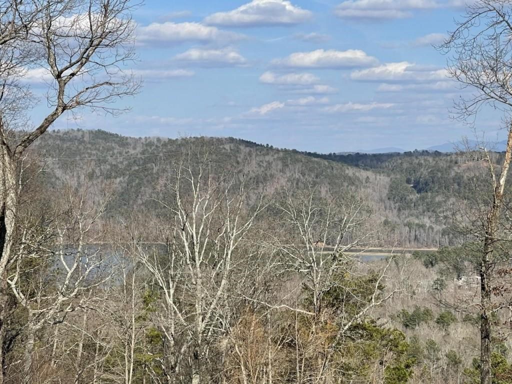 50000 Carters Lake Ranger, GA 30734 - Photo 36 of 37