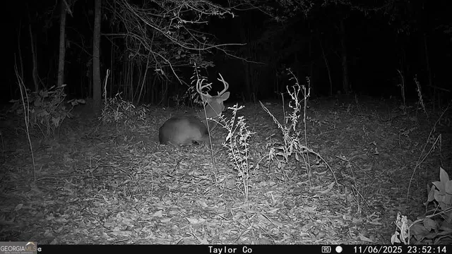 $375,000 | 0 Americus Highway, Rupert, GA 31081