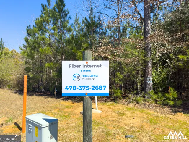 a view of a yard with plants and trees