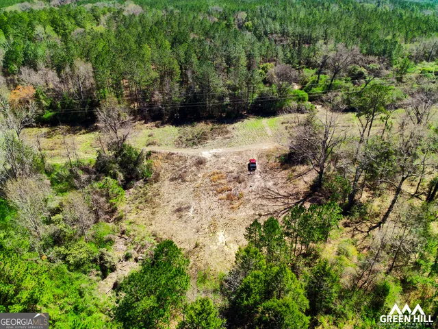 a aerial view of a yard with plants and large trees