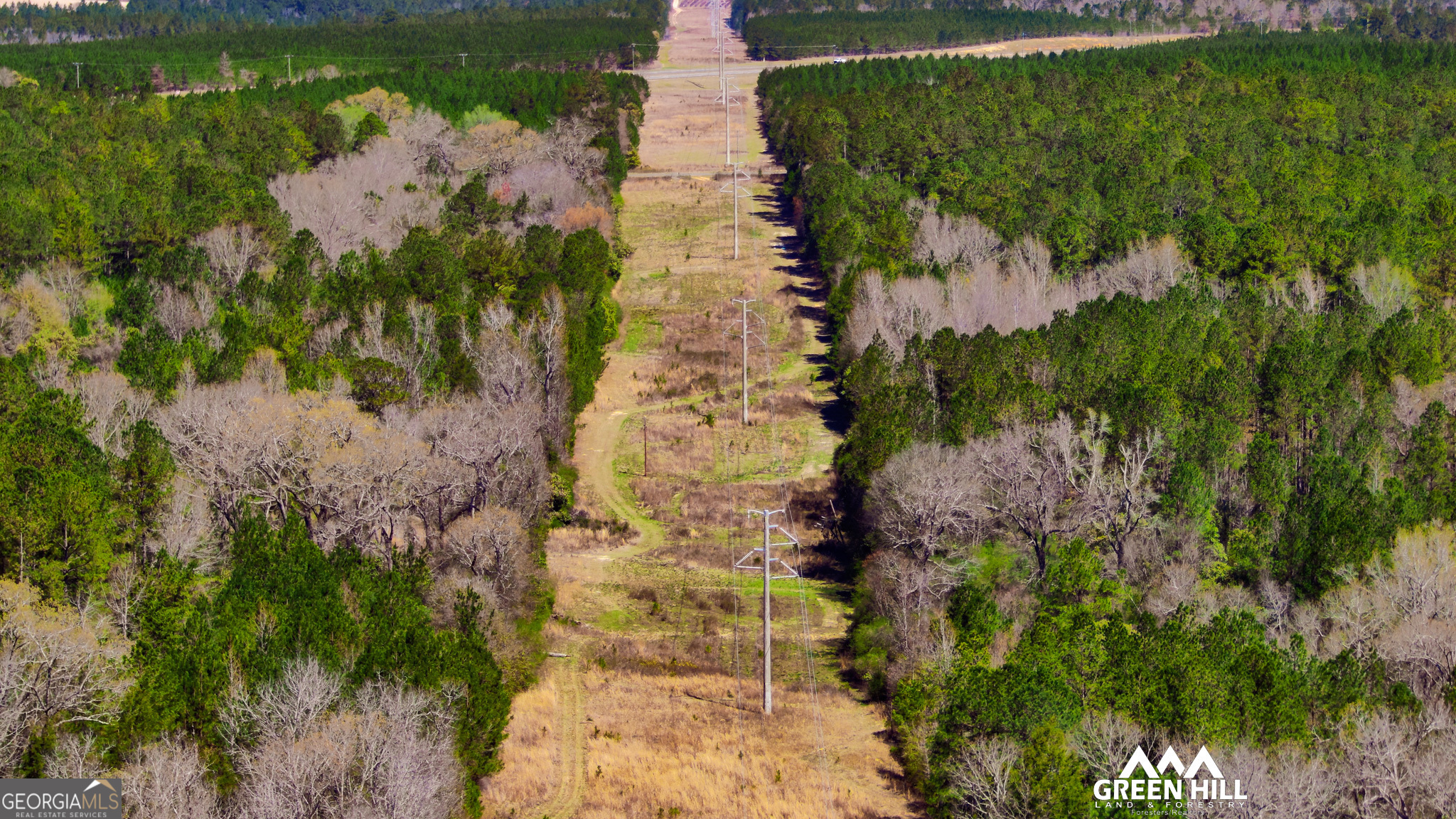0 Americus Highway Rupert, GA 31081 - Photo 33 of 40 a aerial view of a yard with plants and large trees