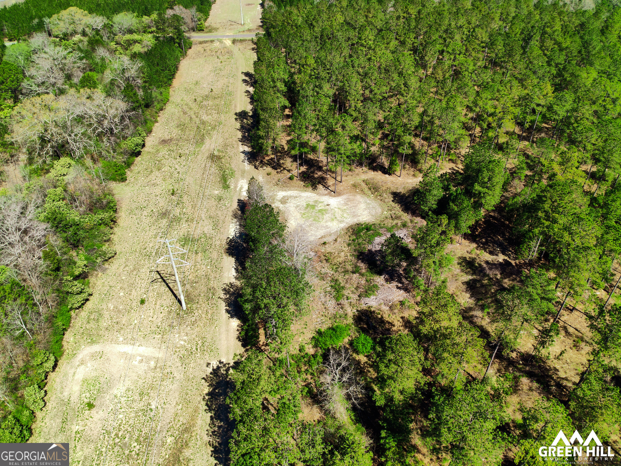 0 Americus Highway Rupert, GA 31081 - Photo 37 of 40 a view of a garden with plants