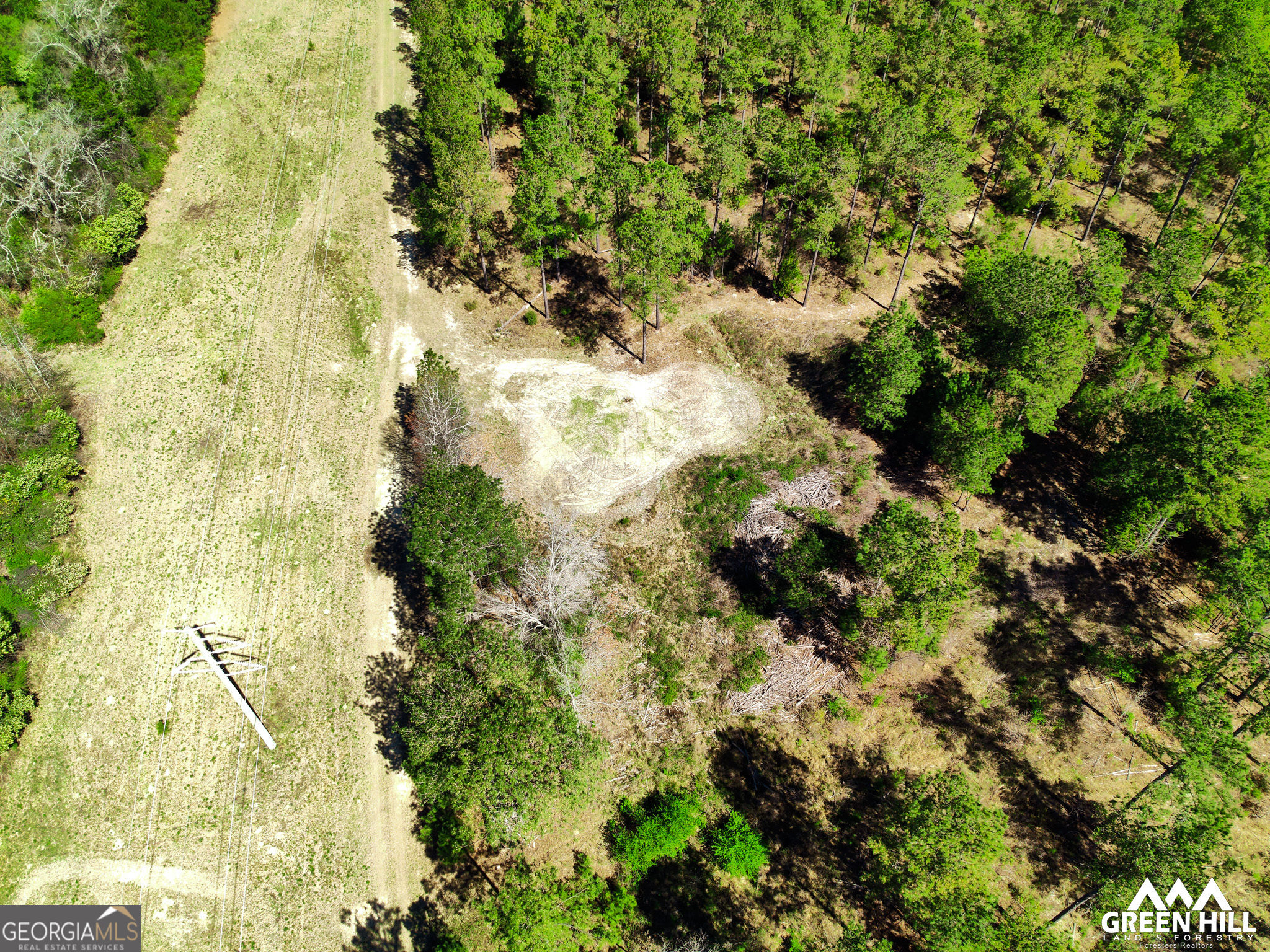 0 Americus Highway Rupert, GA 31081 - Photo 38 of 40 a view of a yard with plants