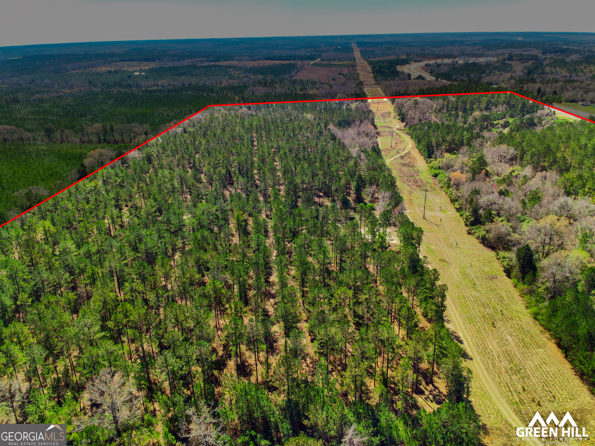 0 Americus Highway Rupert, GA 31081 - Photo 39 of 40 a view of a garden