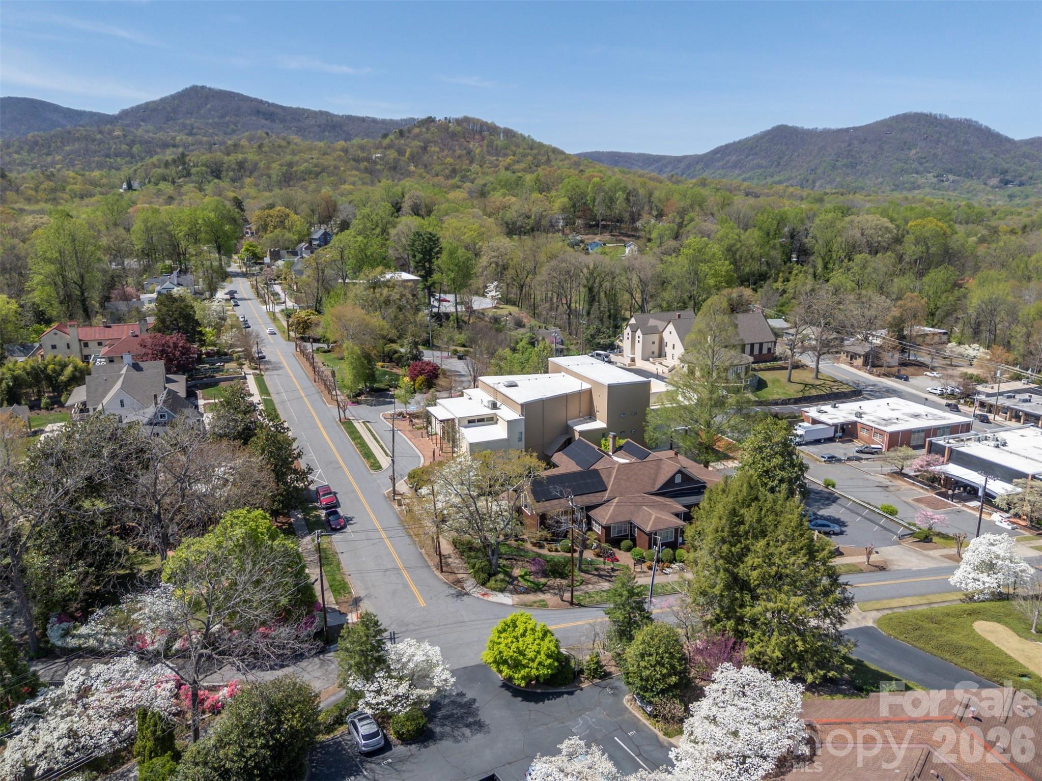 77 Chestnut Street Tryon, NC 28782 - Photo 41 of 41 a view of a lush green hillside and a houses
