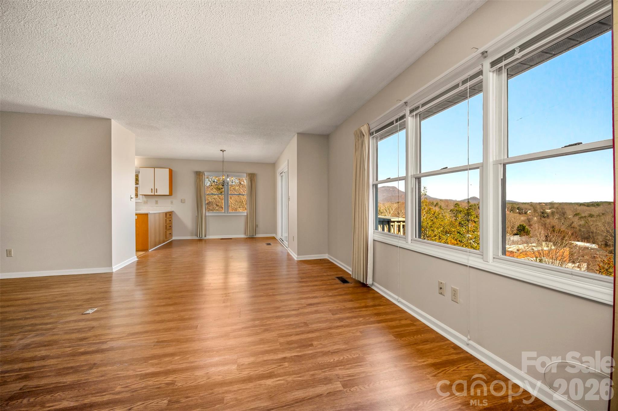 77 Chestnut Street Tryon, NC 28782 - Photo 10 of 41