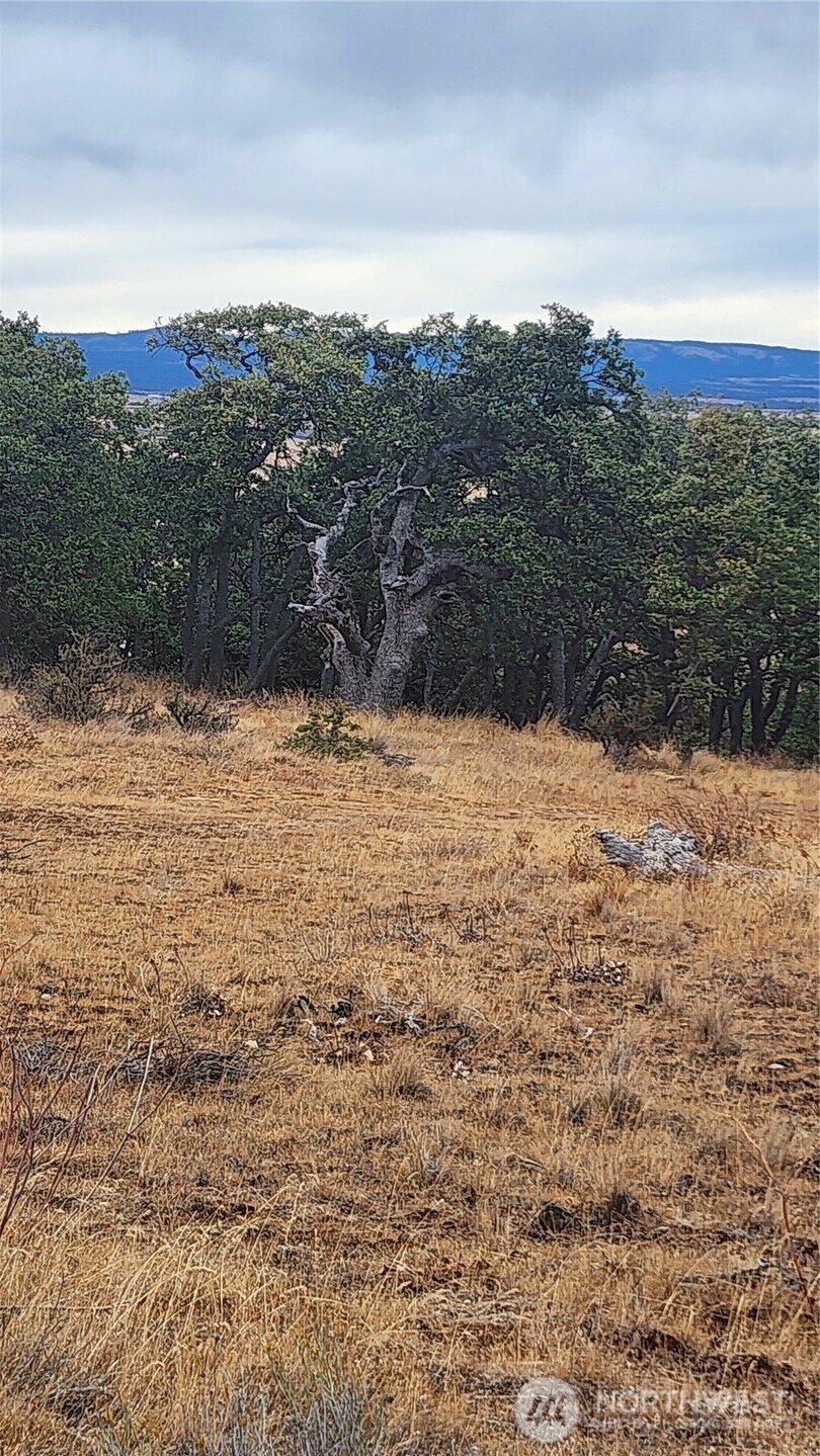 295 Oak Flat Road Goldendale, WA 98620 - Photo 6 of 13 a view of a large body of water with a building in the background