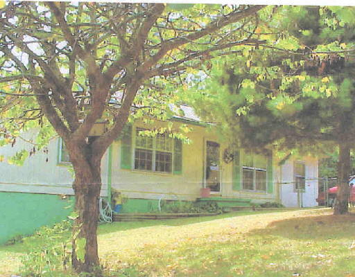 Primary Photo