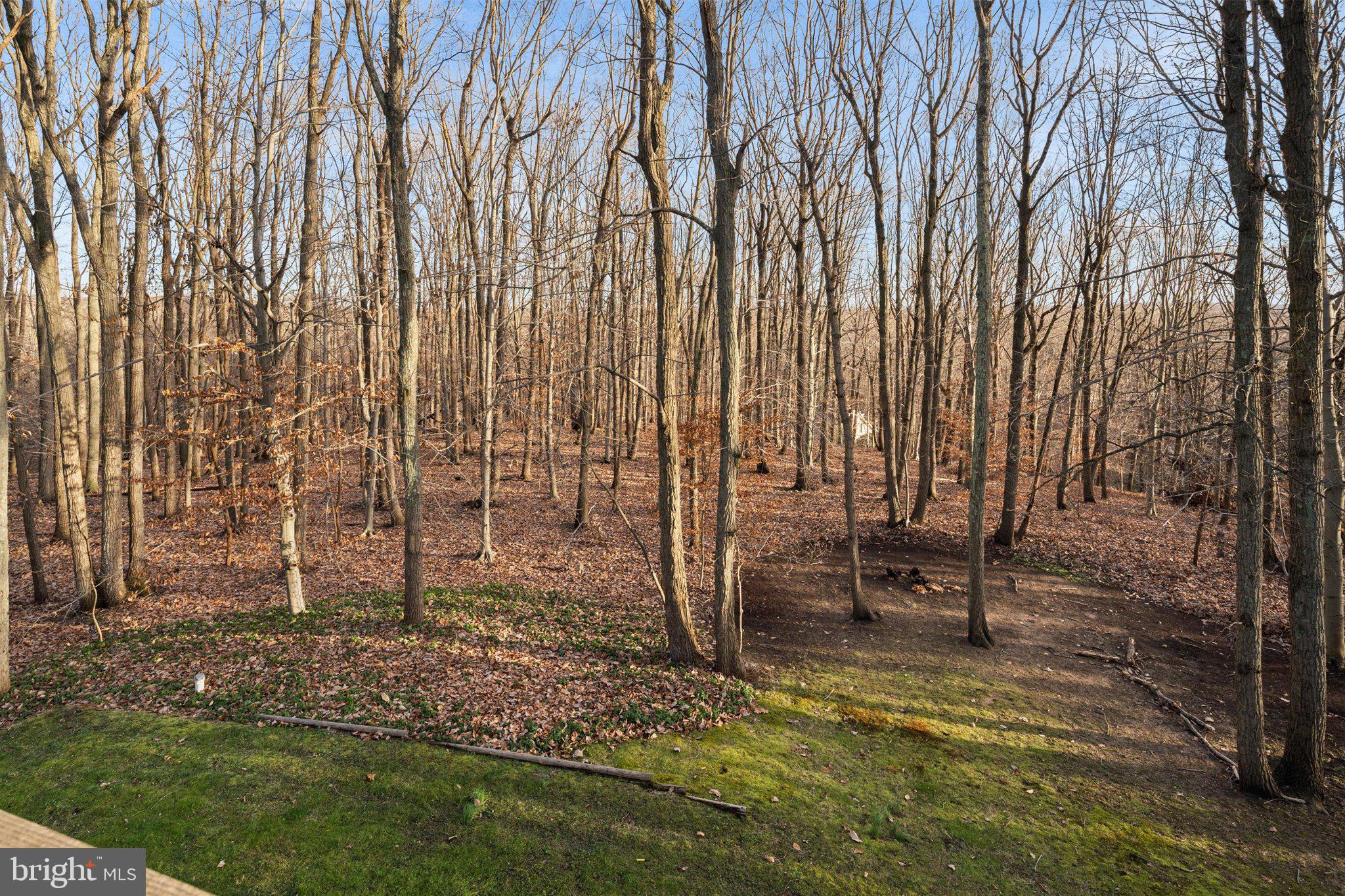 25 Stone Hill Road Allentown, NJ 08501 - Photo 22 of 31