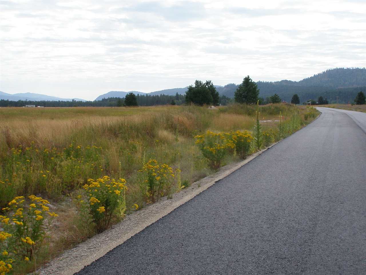 842 Open Skies Road Newport, WA 99156 - Photo 5 of 6 Gallery Image 5