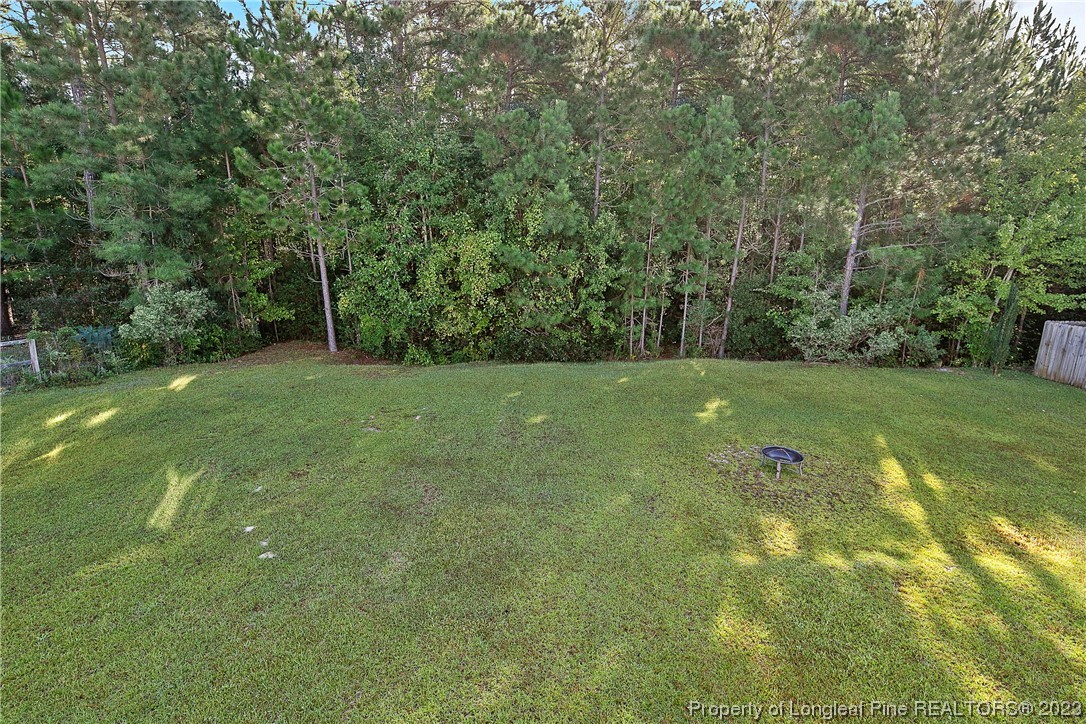 136 Linden Road Cameron, NC 28326 - Photo 48 of 48 a view of a grassy field with trees in the background