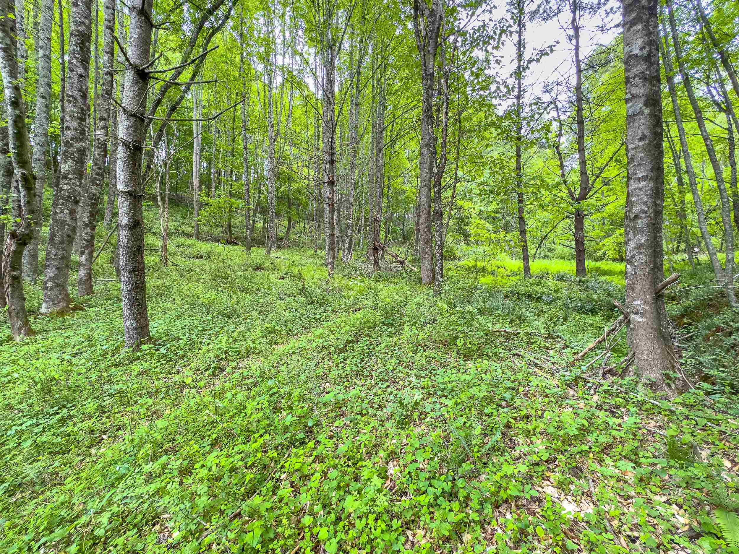 345 Apache Road Woodlawn, VA 24381 - Photo 27 of 52 Gallery Image 27
