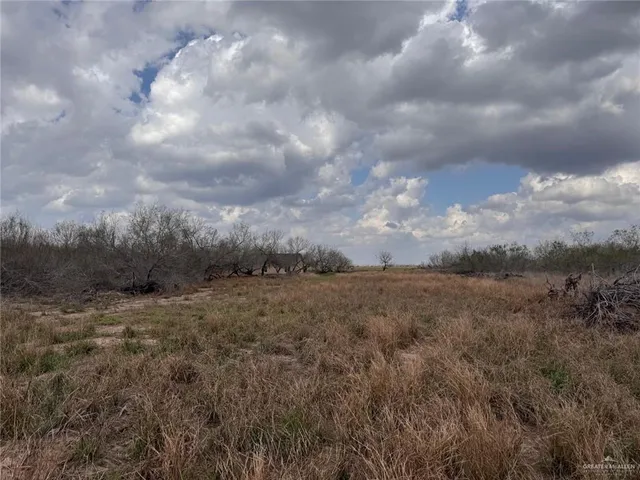 a view of a big yard with lots of bushes