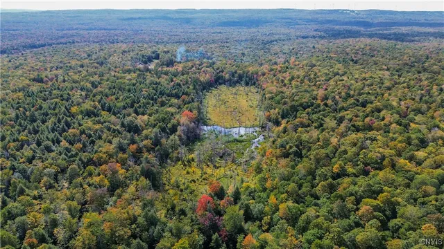 $99,900 | 999 Jerseyfield Road, Little Falls, NY 13365