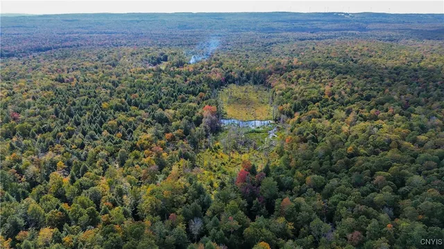 $99,900 | 999 Jerseyfield Road, Little Falls, NY 13365