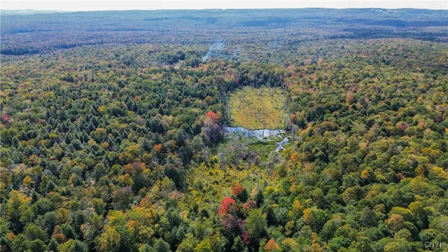 $99,900 | 999 Jerseyfield Road, Little Falls, NY 13365