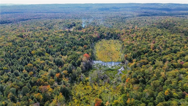 $99,900 | 999 Jerseyfield Road, Little Falls, NY 13365