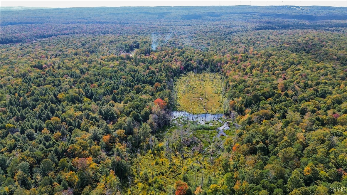 999 Jerseyfield Road Little Falls, NY 13365 - Photo 3 of 11