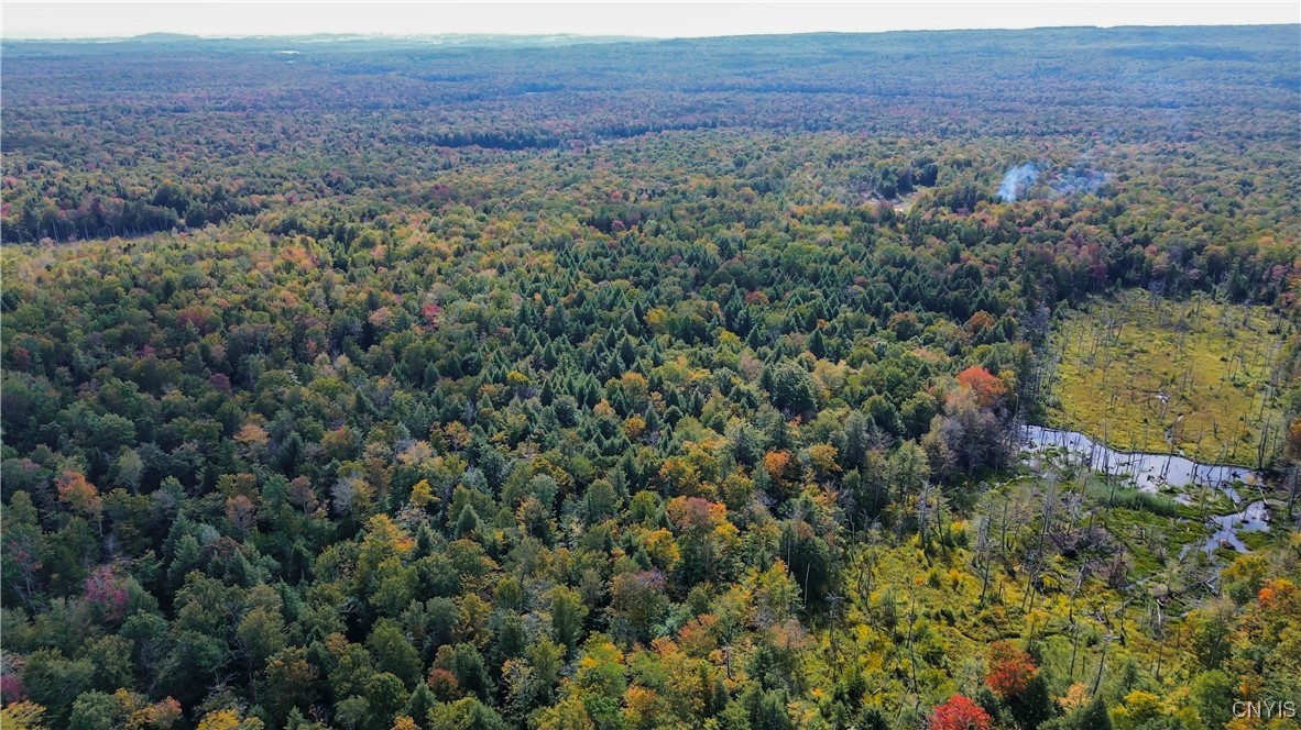 999 Jerseyfield Road Little Falls, NY 13365 - Photo 8 of 11