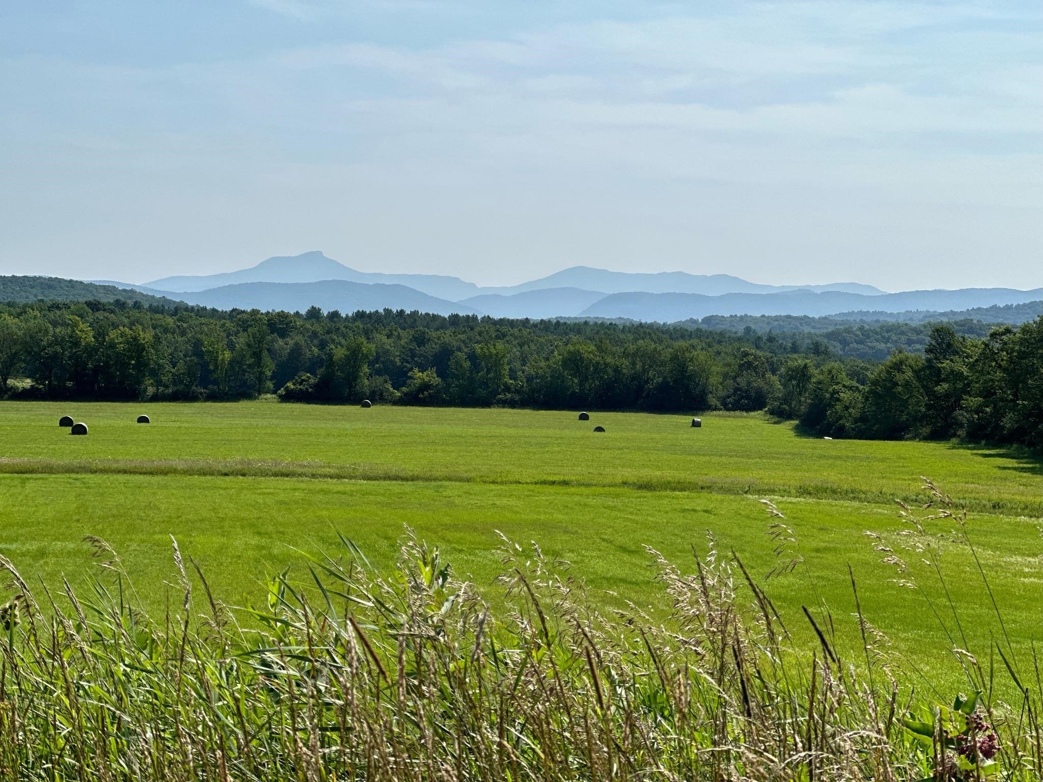 488 Guinea Road Charlotte, VT 05445 - Photo 50 of 53 Gallery Image 50