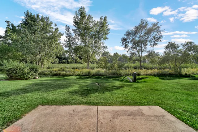 a view of a grassy field