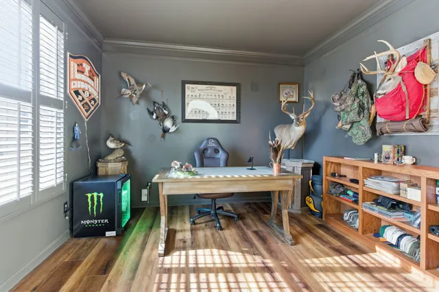 a view of a workspace with furniture and a potted plant