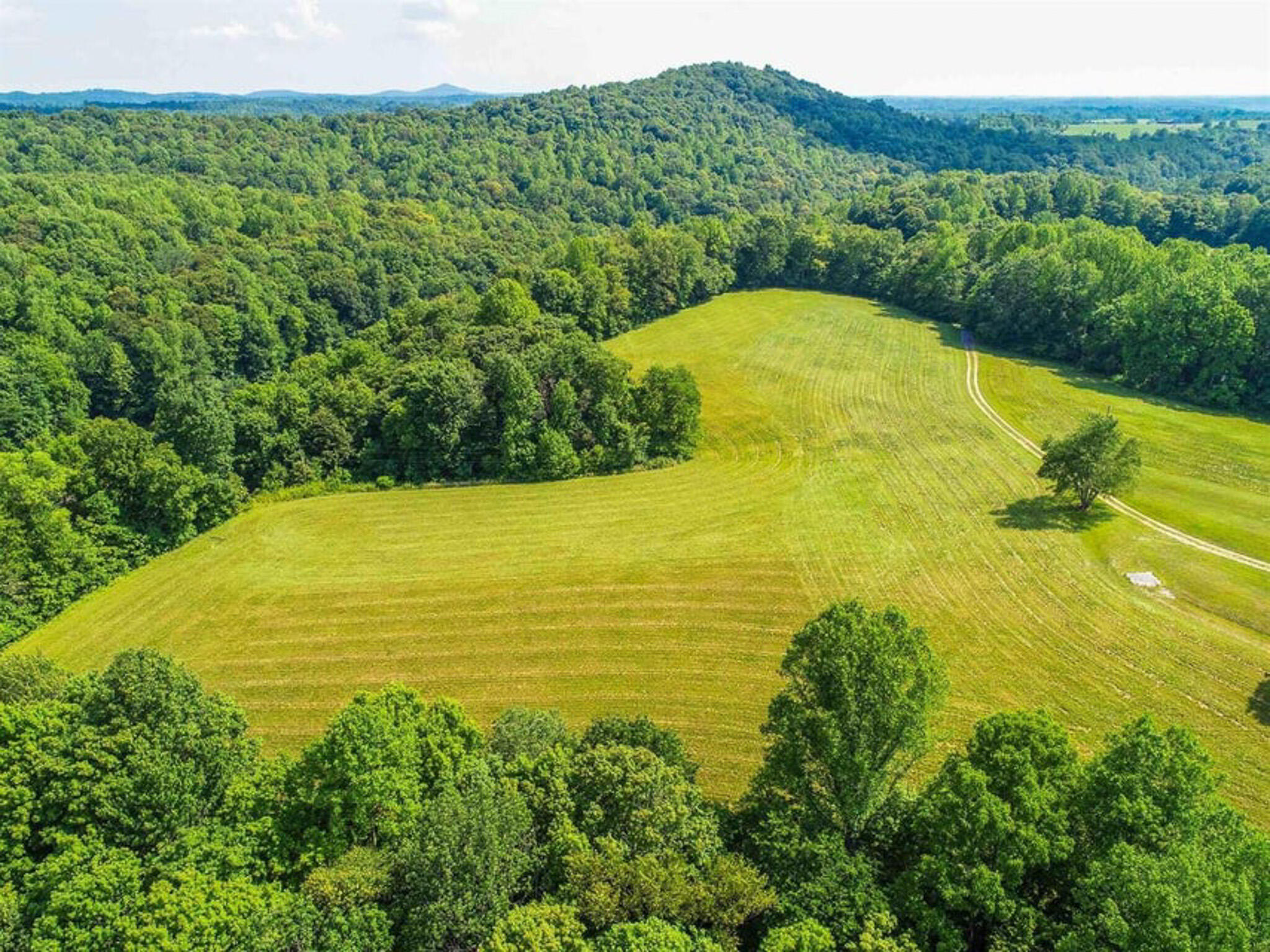 1640 Clear Branch Road Liberty, KY 42539 - Photo 91 of 135 20200917165213939231000000-o