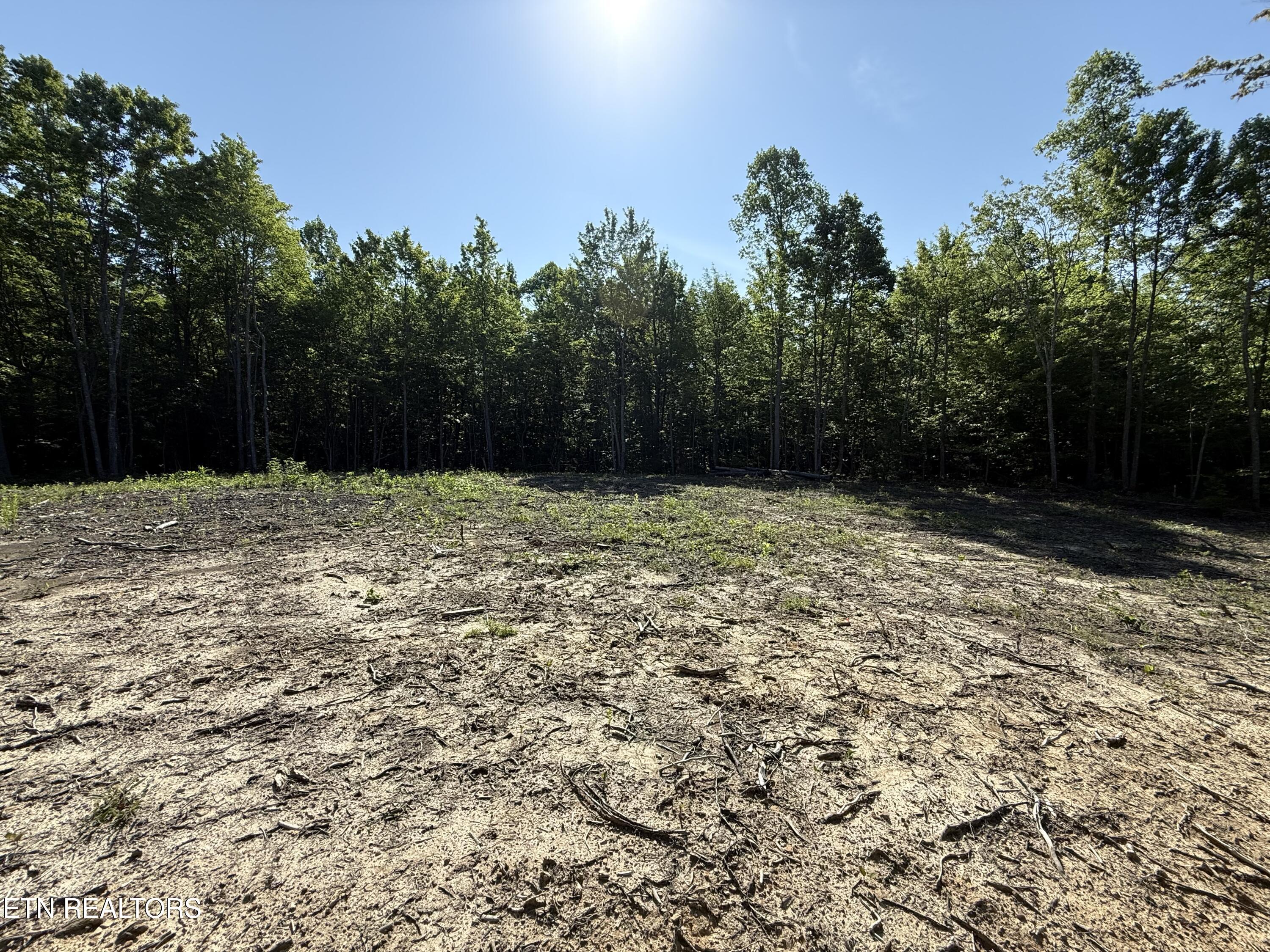 969 Lewallen Road Sunbright, TN 37872 - Photo 6 of 21 IMG_4301