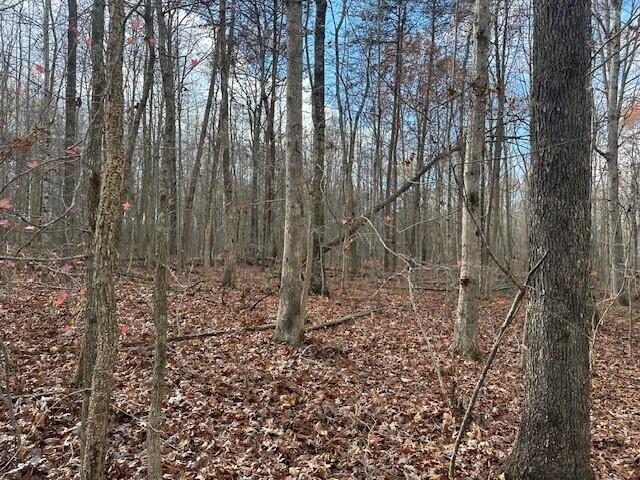 10 Prater Road, Unit 10 Pikeville, TN 37367 - Photo 18 of 30 11