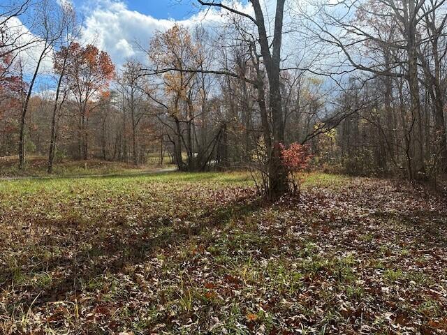 10 Prater Road, Unit 10 Pikeville, TN 37367 - Photo 2 of 30 26
