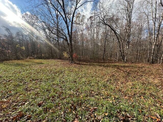 10 Prater Road, Unit 10 Pikeville, TN 37367 - Photo 4 of 30 28