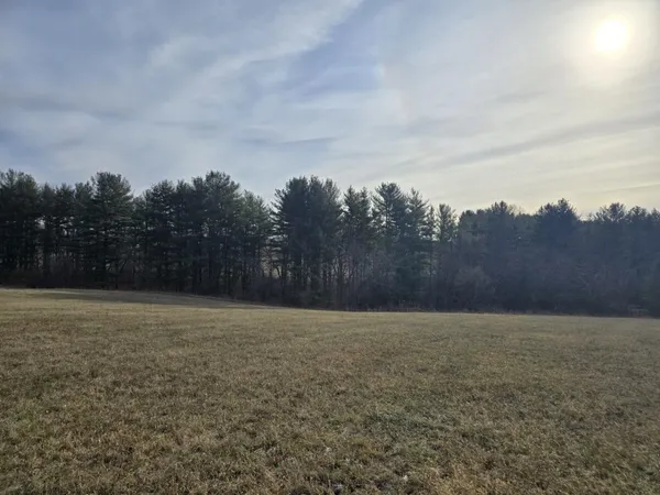 a view of a field with trees in the background