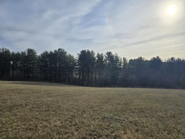 a view of a field with trees in the background