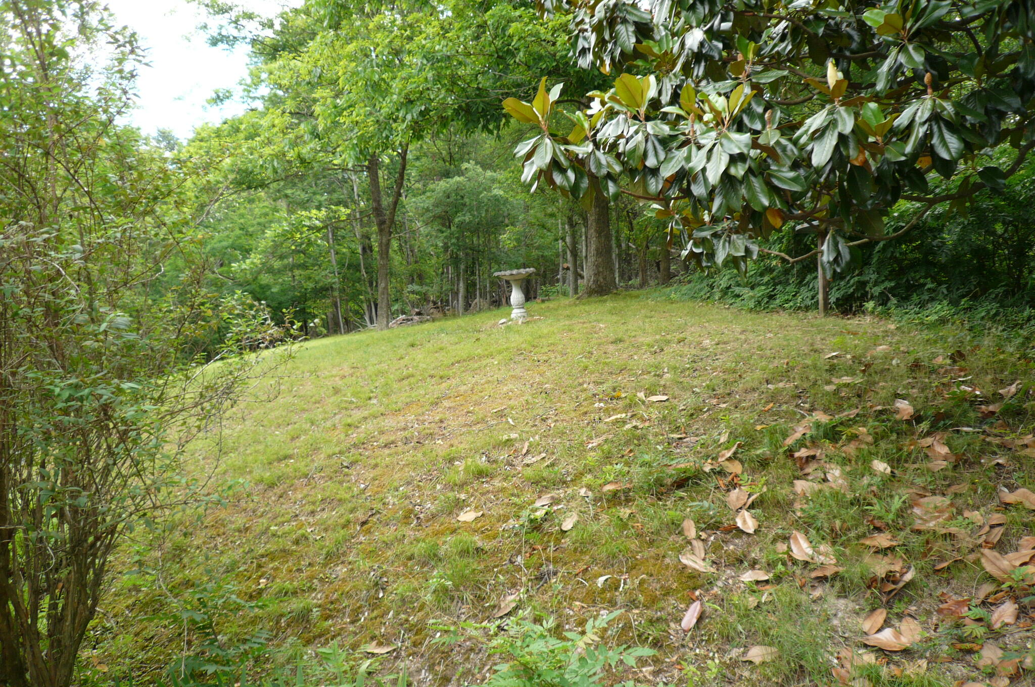 7330 Cove Hollow Road Elliston, VA 24087 - Photo 12 of 13 P1000717