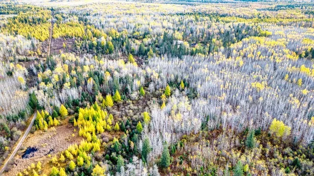 $350,000 | 2446 Northeast Grade Road, Brimson, MN 55602