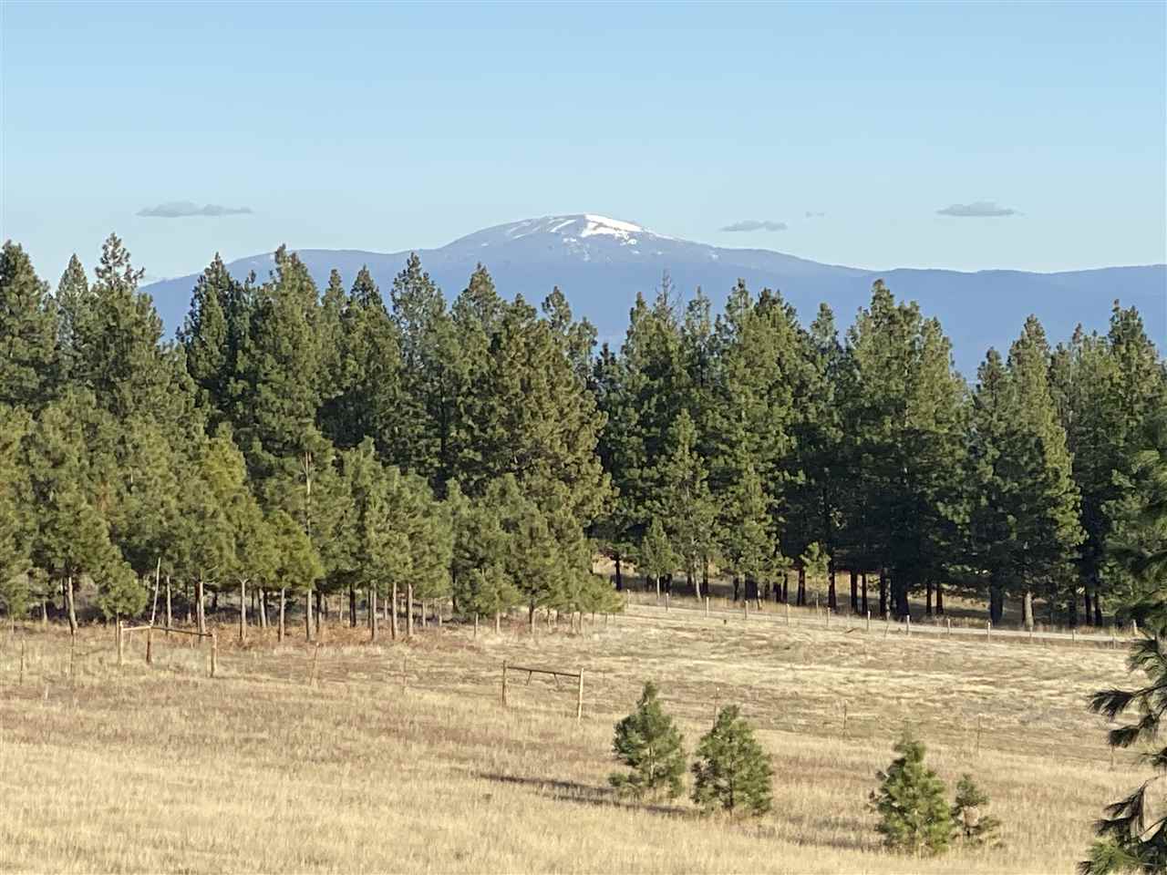 3710 West Woolard Road Colbert, WA 99005 - Photo 4 of 20