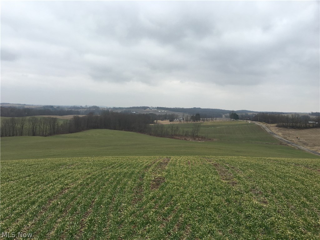 7130 Young Road Adamsville, OH 43802 - Photo 12 of 16 Rosan Echelberry Farm Auction 7130 Young Rd, Adamsville OH 43802
