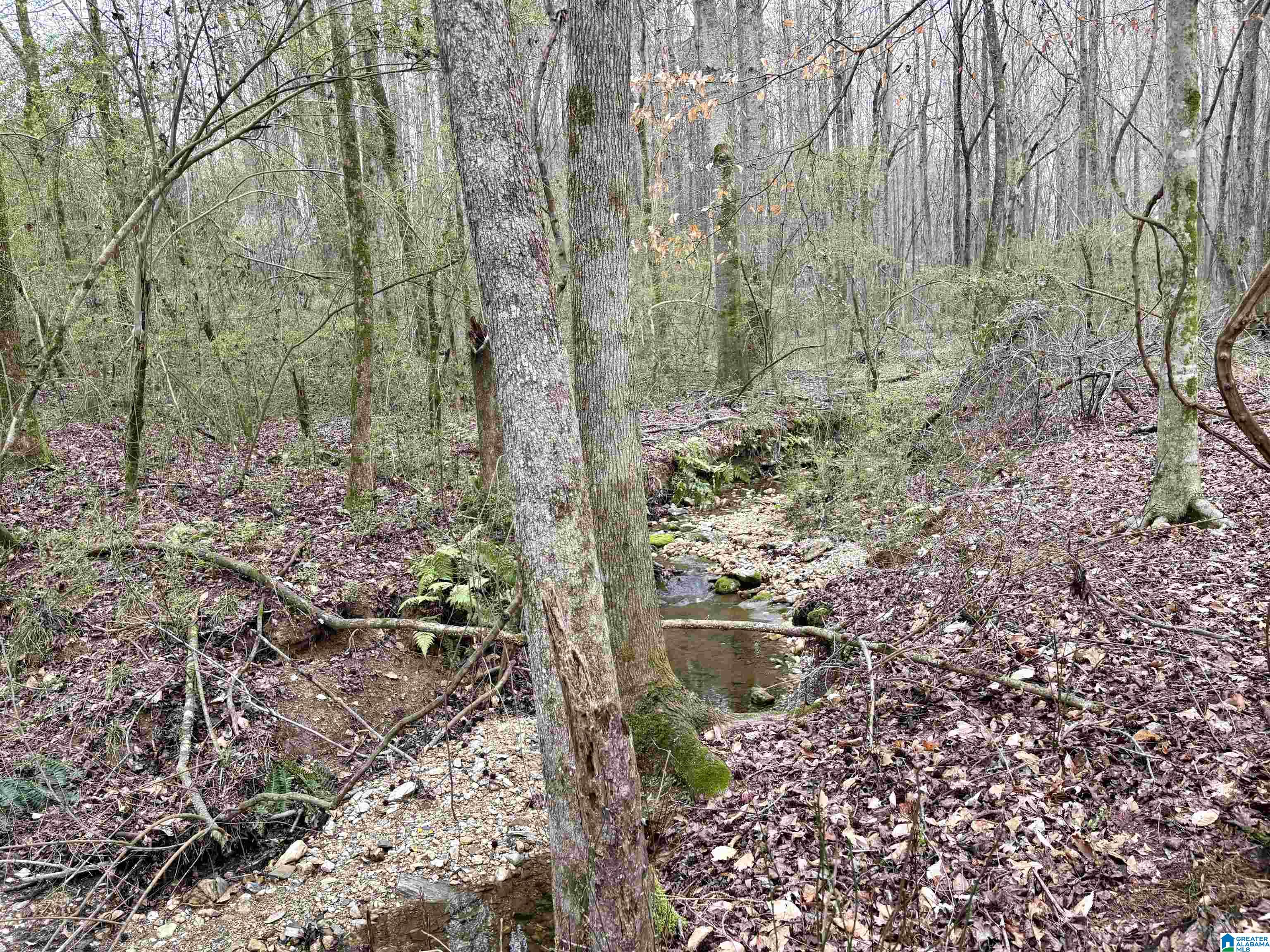 0 County Road 670, Unit 1 Ranburne, AL 36273 - Photo 9 of 18