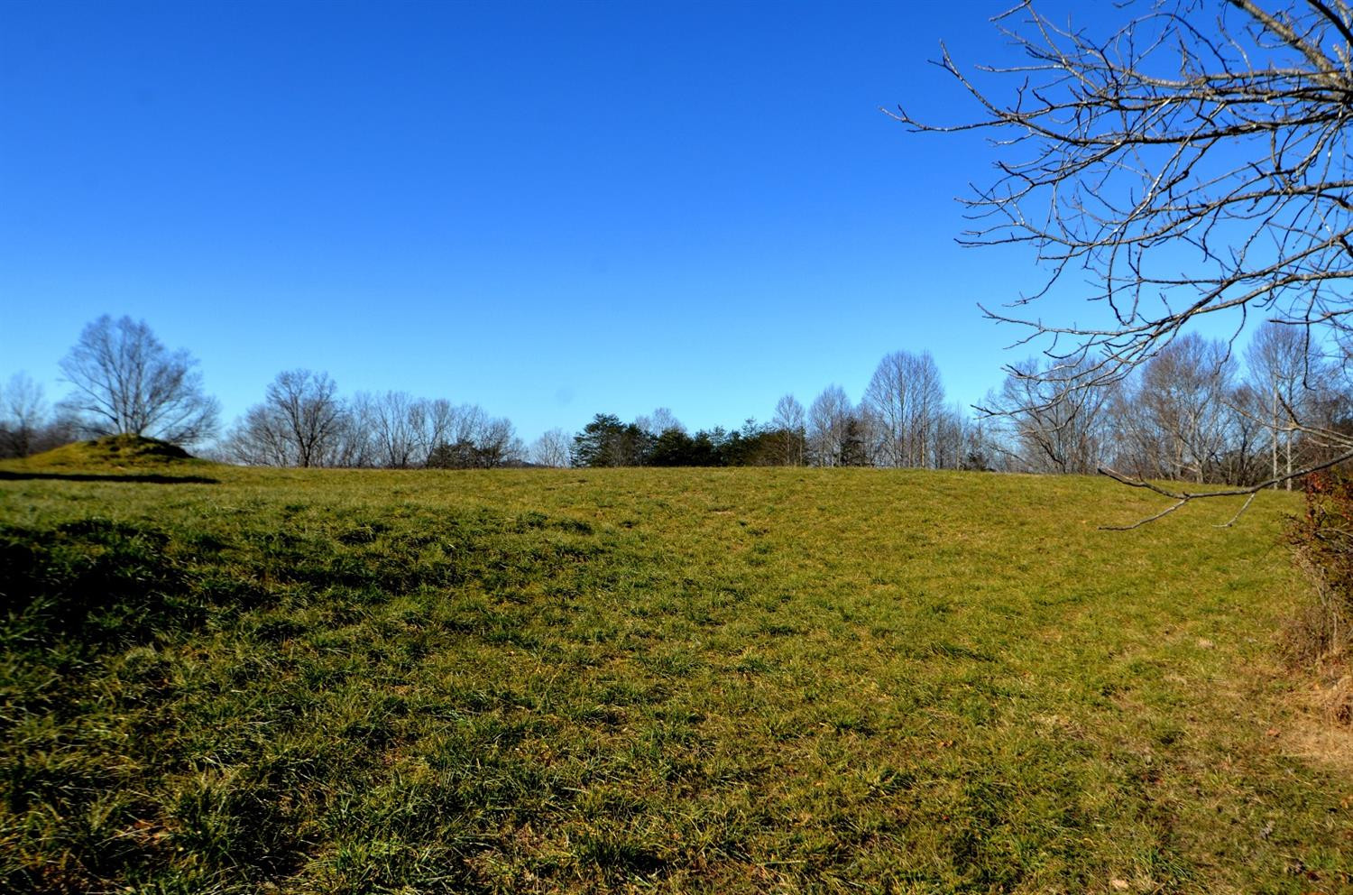 146 Opossum Run Road Irvine, KY 40336 - Photo 28 of 64 Perfect for any livestock you could want