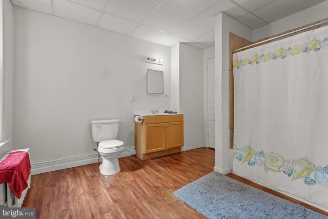 a bathroom with a toilet and a shower curtain