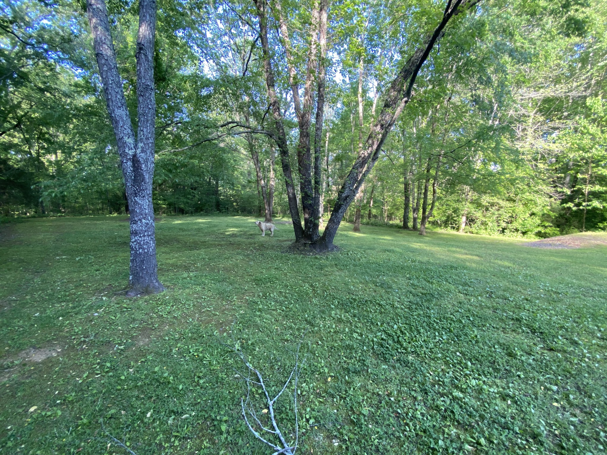 7309 Michael Lankford Road Fairview, TN 37062 - Photo 16 of 16 Gallery Image 16