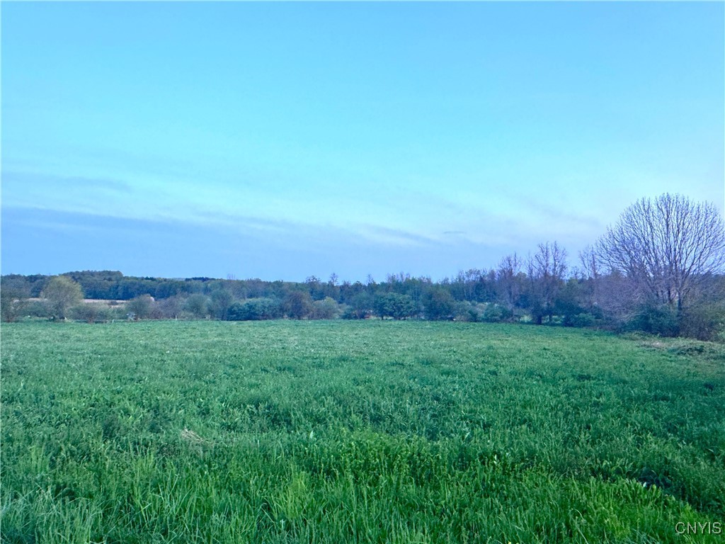 Mallory Road New Hartford, NY 13413 - Photo 2 of 7