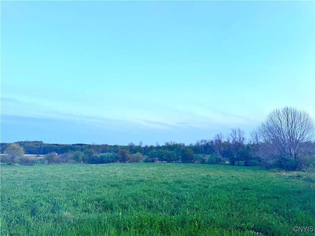 Mallory Road New Hartford, NY 13413 - Photo 3 of 7