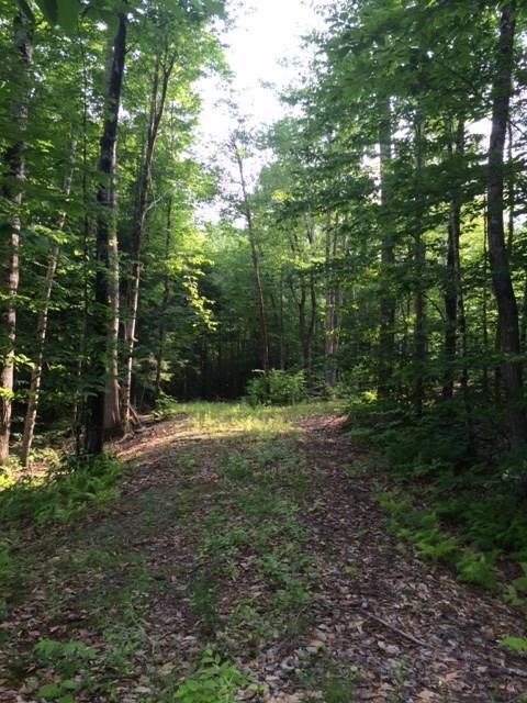 Lot 5 Burbank Hill Road Strong, ME 04983 - Photo 2 of 20 Photo