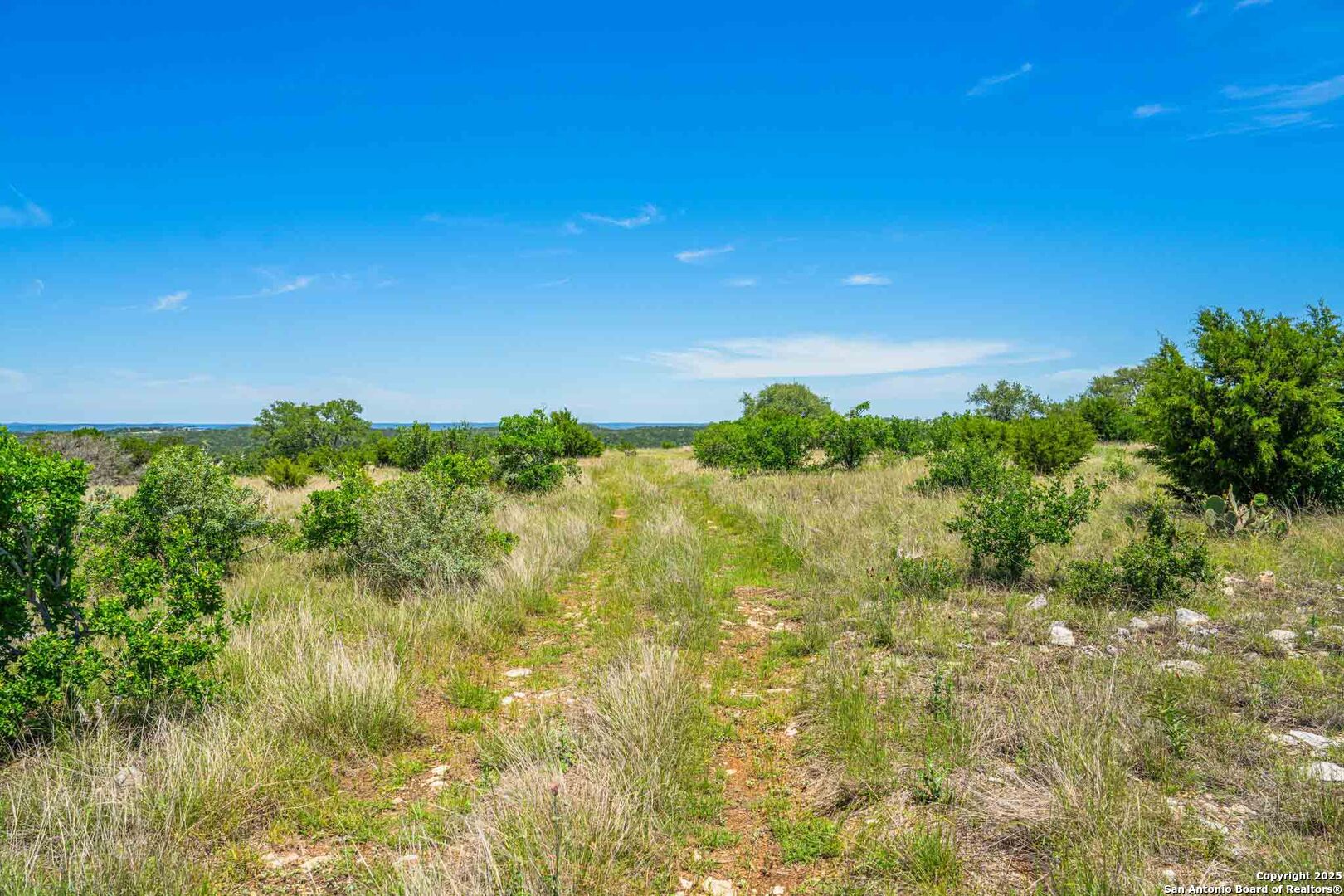 165 Flach Road Comfort, TX 78013 - Photo 14 of 69