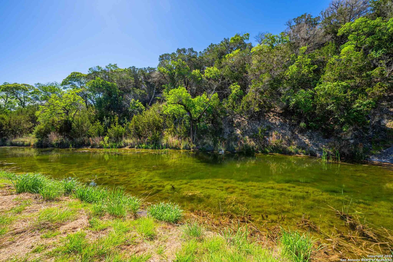 165 Flach Road Comfort, TX 78013 - Photo 4 of 69 a view of yard with swimming pool and green space