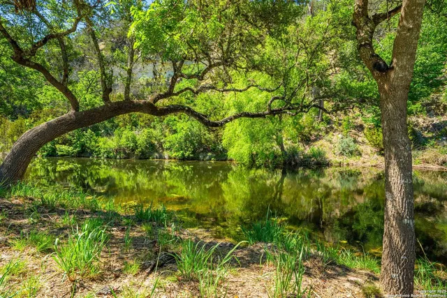 $6,250,000 | 165 Flach Road, Comfort, TX 78013
